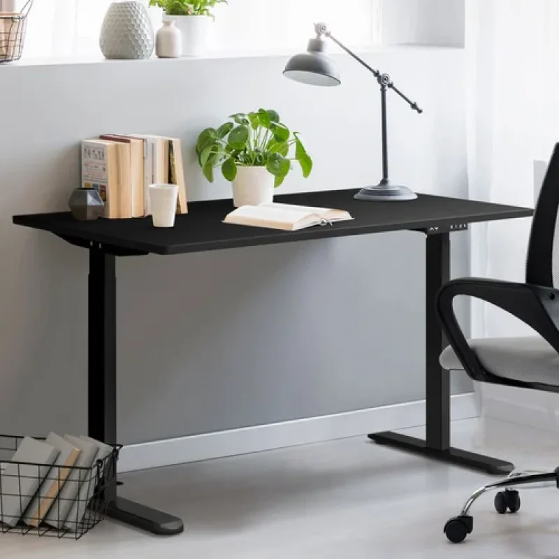A black Alwyn III 120cm dual motor electric sit and stand desk with a book, plant, and lamp on top, shown in a home office setting.
