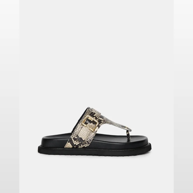 Sol-sana Meurice Footbed thong sandal in python print leather with gold buckle detail and black platform sole.